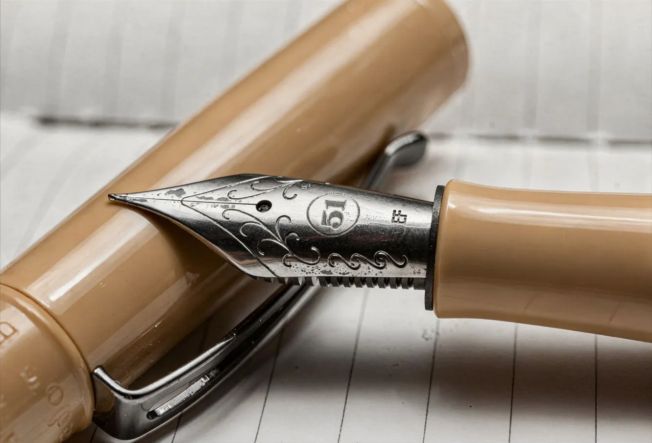 Fountain pen on paper for clarifying a capital pool’s use, draw needs and review point.